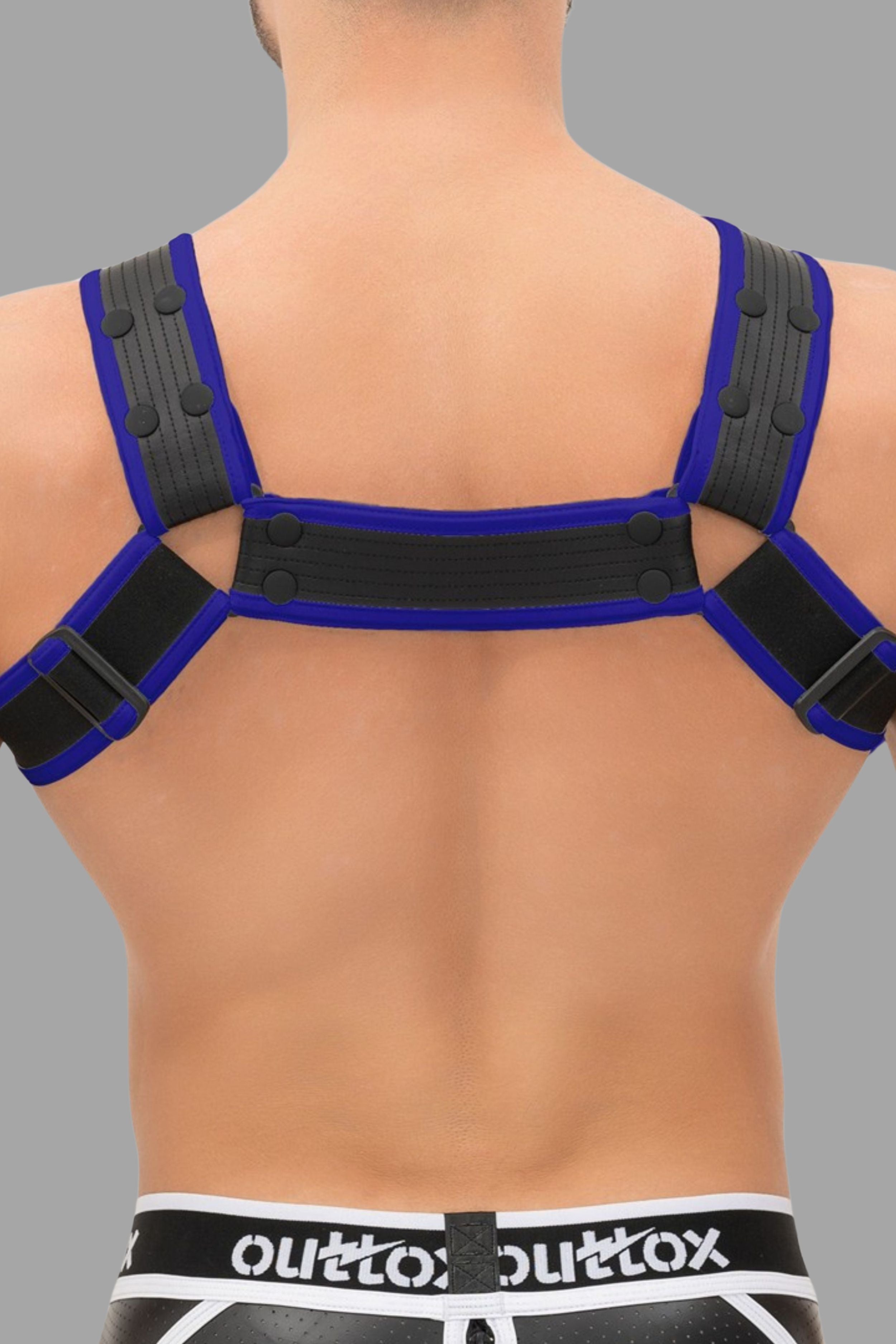 Outtox. Bulldog Harness with Snaps. Blue