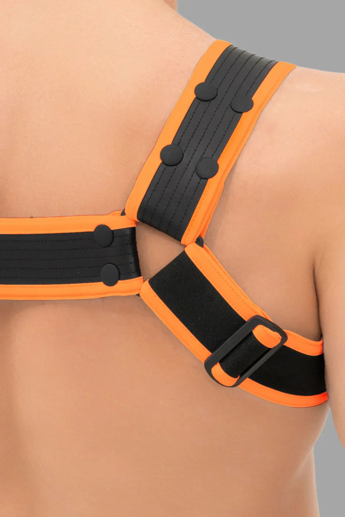 Outtox. Bulldog Harness with Snaps. Black and Orange