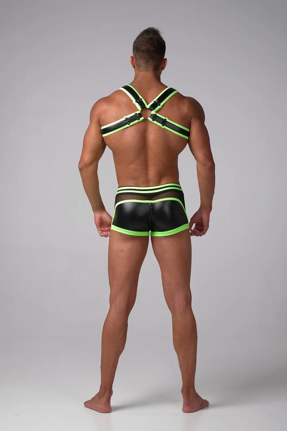 Youngero Generation Y. Bulldog Harness. Neon - Maskulo - MHR158-Y1 - Maskulo EU Global Online Store