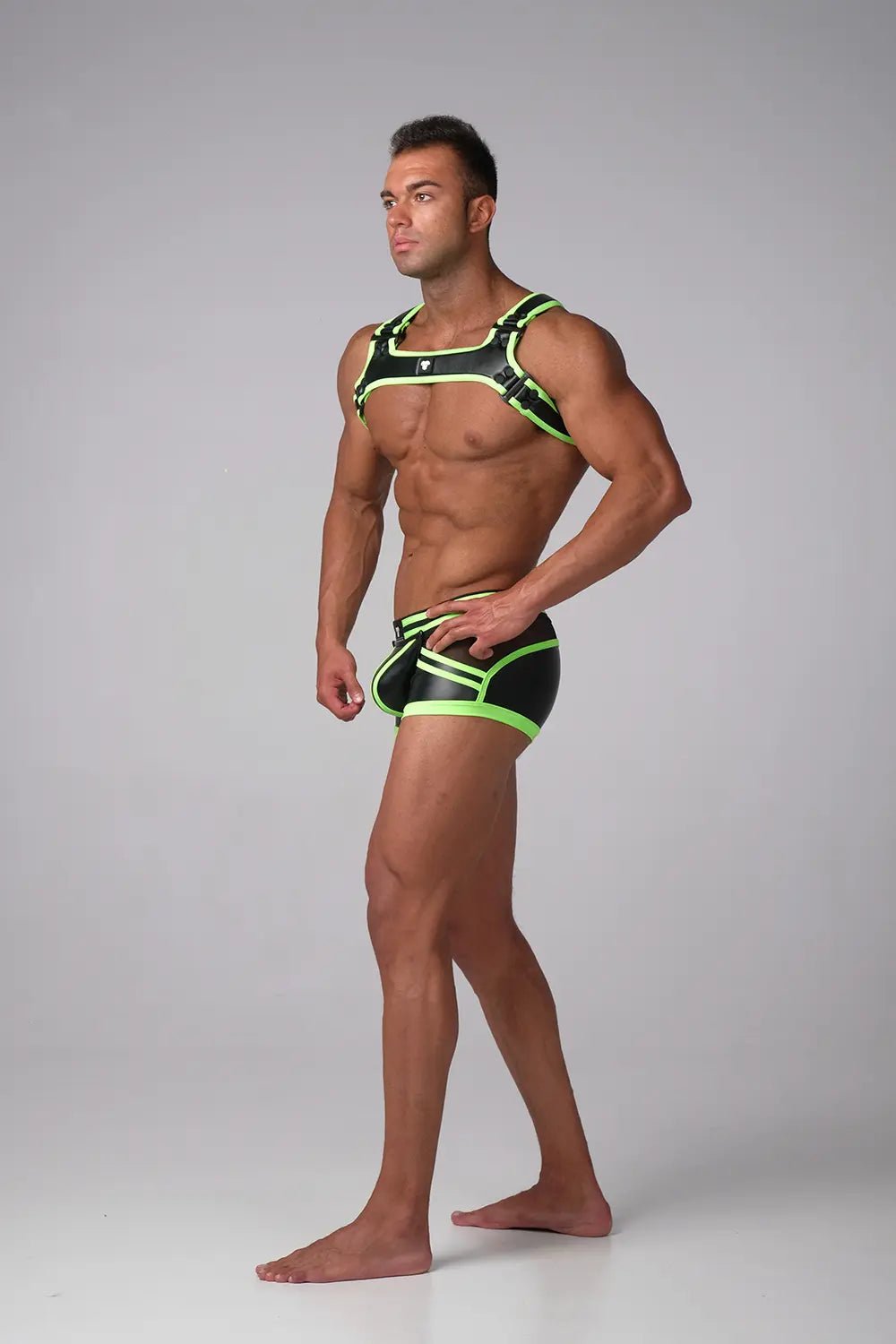 Youngero Generation Y. Bulldog Harness. Neon - Maskulo - MHR158-Y1 - Maskulo EU Global Online Store