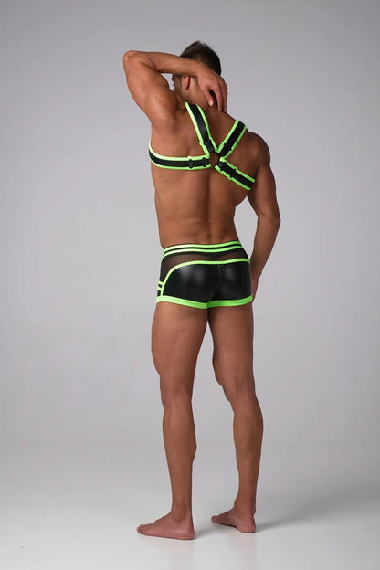 Youngero Generation Y. Bulldog Harness. Neon - Maskulo - MHR158-Y1 - Maskulo EU Global Online Store